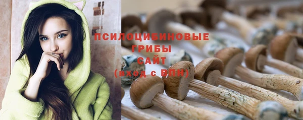 a pvp Кодинск