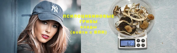 твердый Козловка