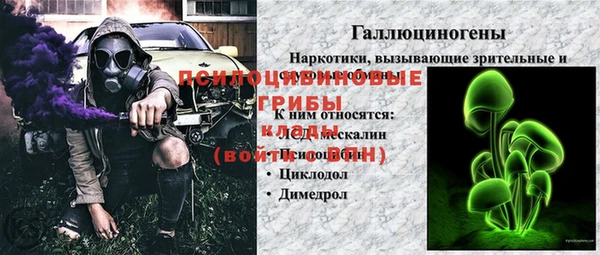 твердый Козловка