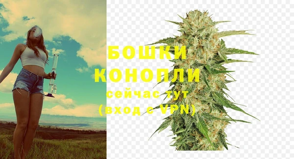 прущие грибы Карталы