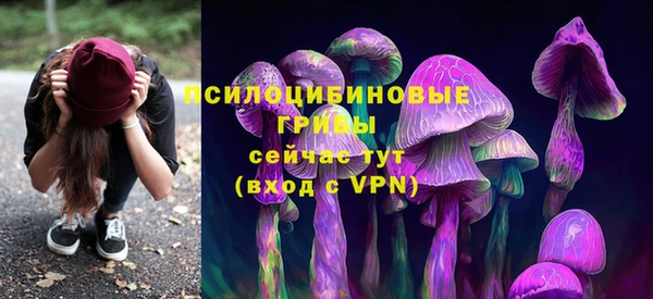 a pvp Кодинск