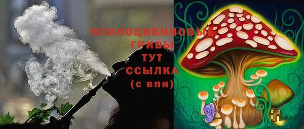 твердый Козловка