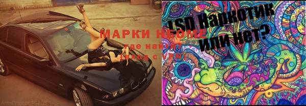 a pvp Кодинск