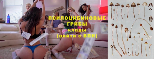 a pvp Кодинск